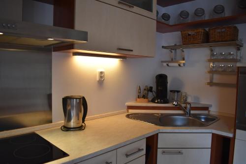 Apartment Mumlava falls in Ryzoviste