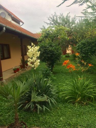  Guesthouse Mihić in Bizovac