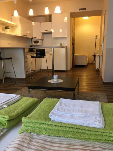 Arany Janos Apartman - image 8