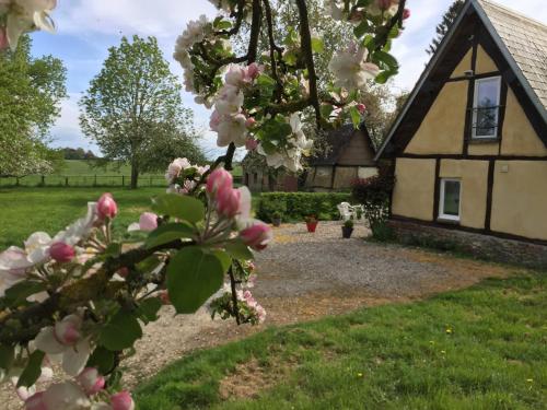 Charmante Maison entre les Pommiers