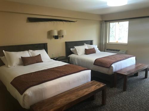 2 queen beds