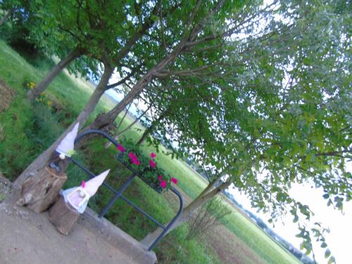 Agriturismo Cascina Lavaroni - image 2