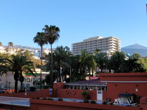  Apartamento Playa Martianez in Puerto de la Cruz