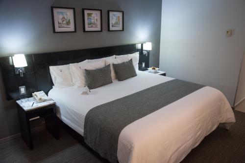 149137827 LaiLa Hotel CDMX Reforma