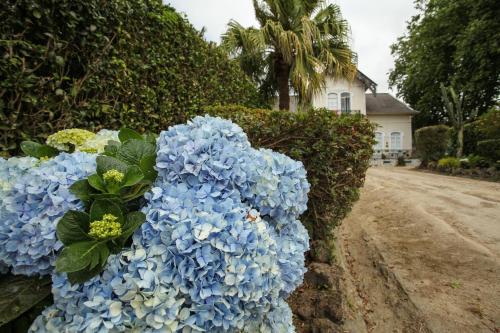  Cantinho do Solar in Vila Franca do Campo