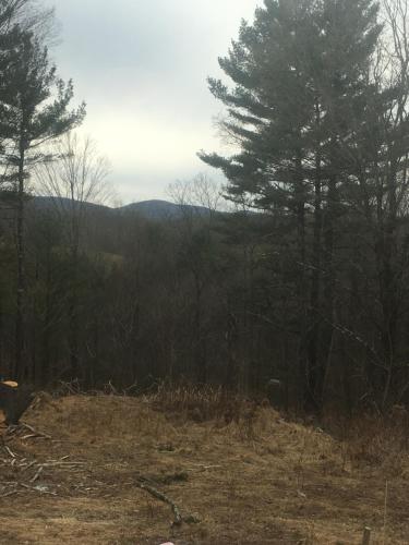 Cozy Cabin in the Catskills