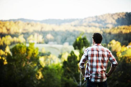 Birdsong Bellingen Farm