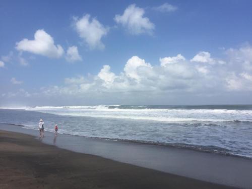 バルコニー リビング アパートメント10