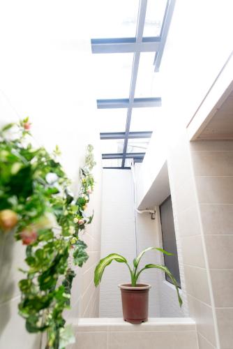 Zhizhu Homestay – Tainan, LA