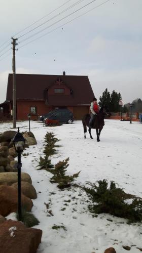 Žilių sodyba - main image