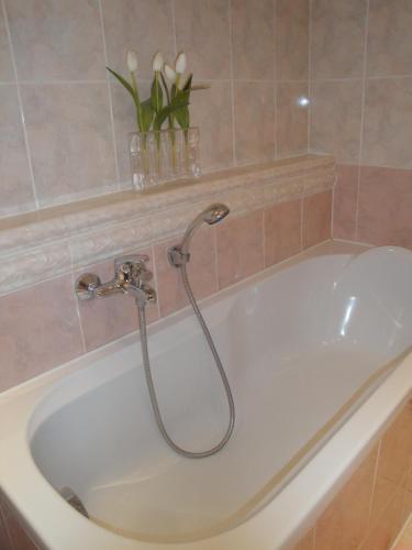 Pension Apartment Granit, Prague (photo 6)