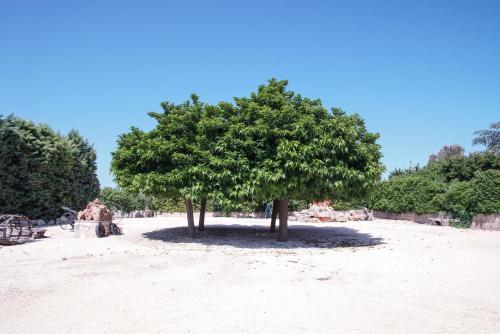  Masseria Guadiano Vecchio in Santa Lucia