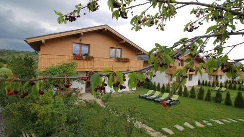 Green Resort Bran - image 2