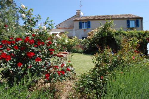 Bejárat, B&B Vento di Rose in Monterubbiano