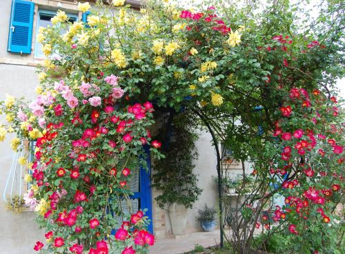 B&B Vento di Rose - Accommodation - Monterubbiano