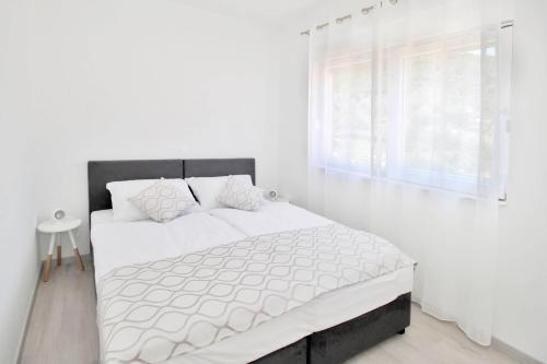 Bacan Family Apartments - main image