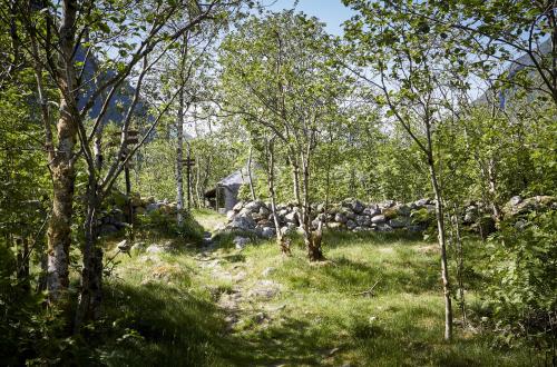 สภาพแวดล้อมโดยรอบ, Hardanger Basecamp in อุลวิก