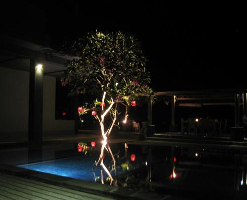 Cafe Alberto Lombok by null