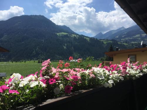 Restaurant Gästehaus Wiesenheim