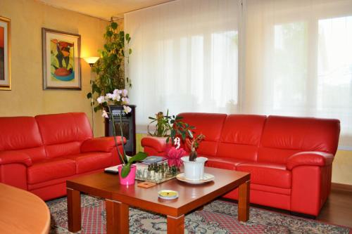Közös társalgó / TV, Alla Posta Guest House in Pieve D'Alpago