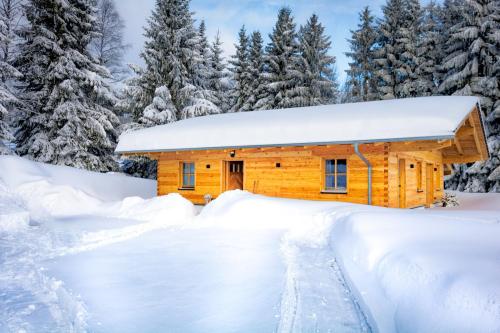 Das Wistlberg Wohlfühlchalet - Chalet - Mauth