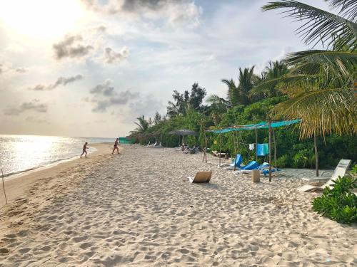 Beach, WOW Retreat in Faafu Atoll