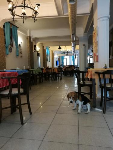 Setenay otel in Ayvalik