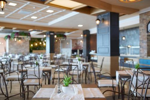 Paradise Beach Residence - Ultra All Inclusive - image 5
