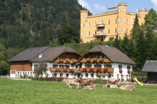 Schlossmayrhof - image 14