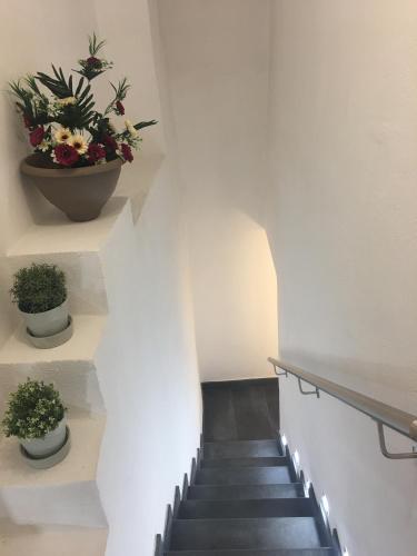 Wellness Hm Napoli – Naples, CO