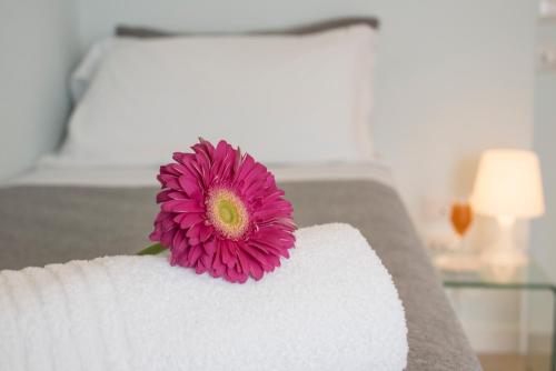 Single room, private bathroom