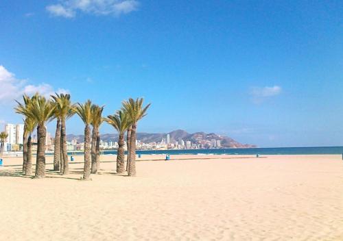 Payma Apartments Benidorm