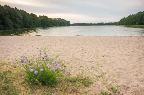 Inka-Mazury