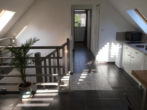 . Duplex chocolat vanille