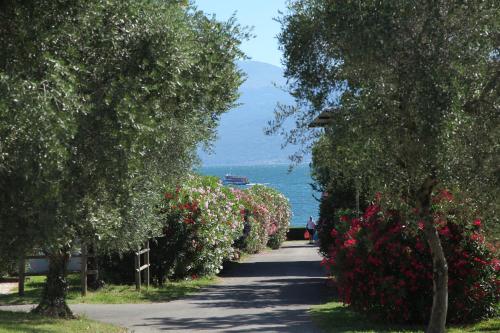 Camping Villaggio San Giorgio Vacanze - image 4