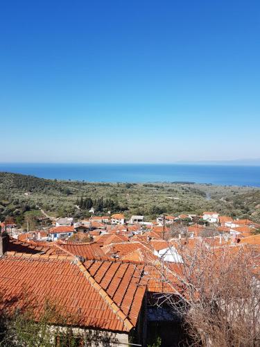 Dimitra's Garden Villa