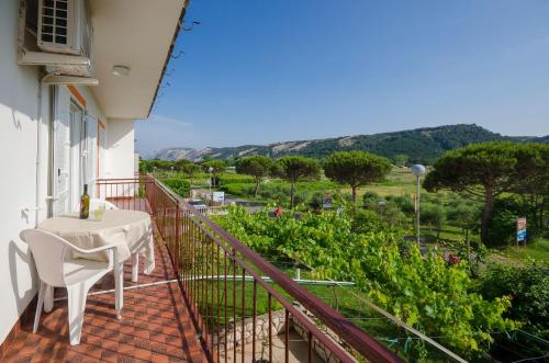 Apartments Joka - image 10