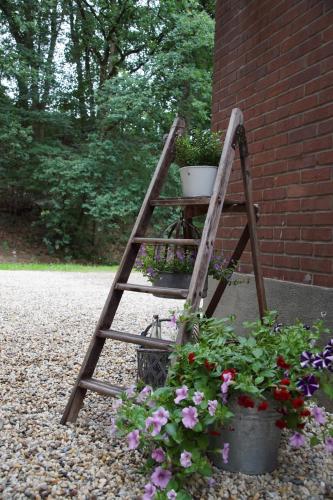 Bed & Breakfast aan de Beek - image 2