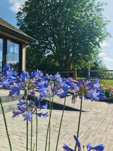  B&B De Windheer in Sint-Martens-Lennik