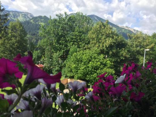 Apartment with Mountain View