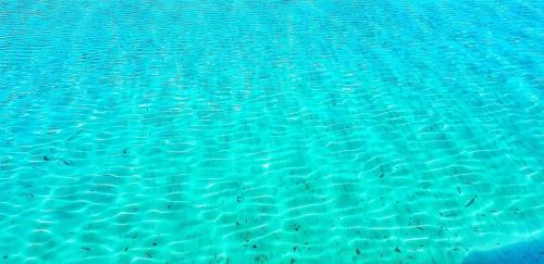 Deluxe Lilian Deluxe Lilian