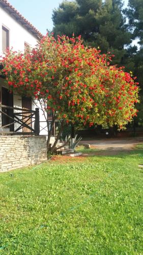 Maria's House Hotel - image 5