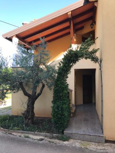  Guest House Casa Fabac in Petrovija