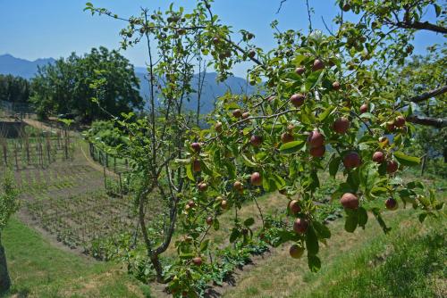 Agriturismo Monte Pu'