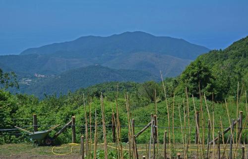 Agriturismo Monte Pu'