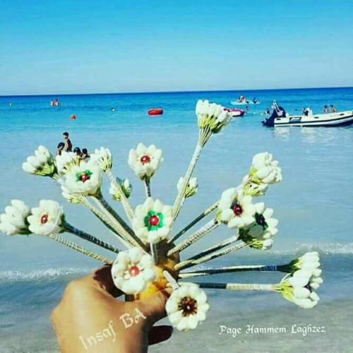 studio climatise pour vacance in Ezzahra (Bin `Arus)