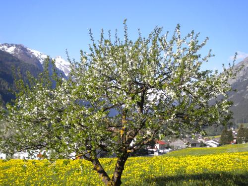 Weberhof in Trins, Österreich