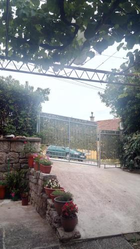 Apartmani Jelena - image 4