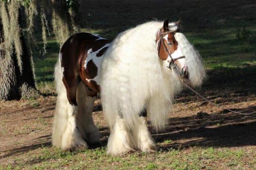 grand park hotel odate nagakura 93 2 odate japan jp 017 0895 claridge inn st george 1187 south bluf