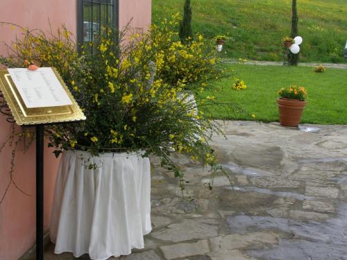 Agriturismo Rimaggiori relaxing country home